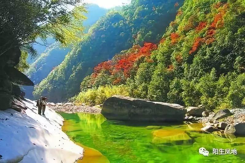 微视频|自备“神器”?一群中学生带放大镜来看古画